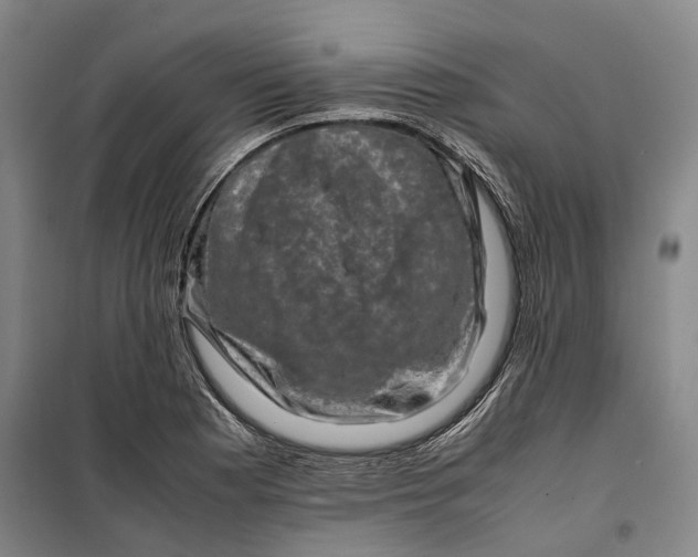 X0000099571177200806061556