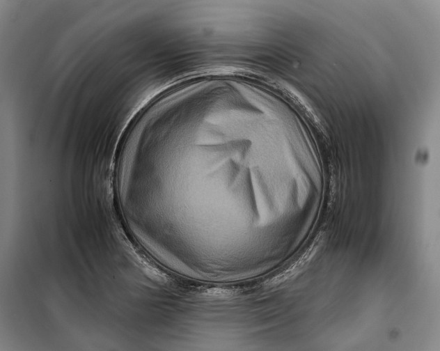 X0000099571178200806061556