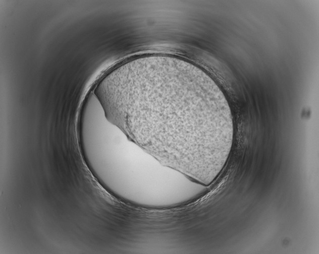 X0000099571180200806061556