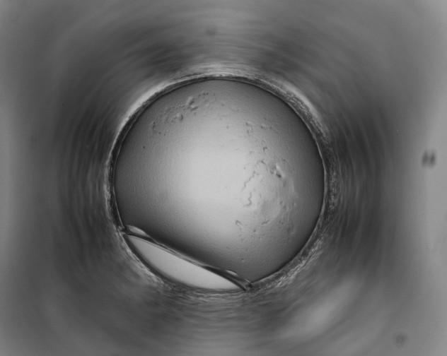 X0000099571182200806061556