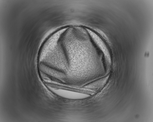 X0000099571183200806061556