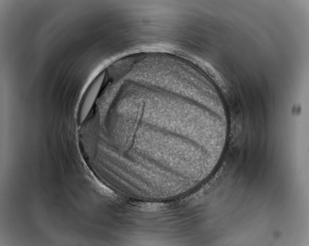 X0000099571184200806061556