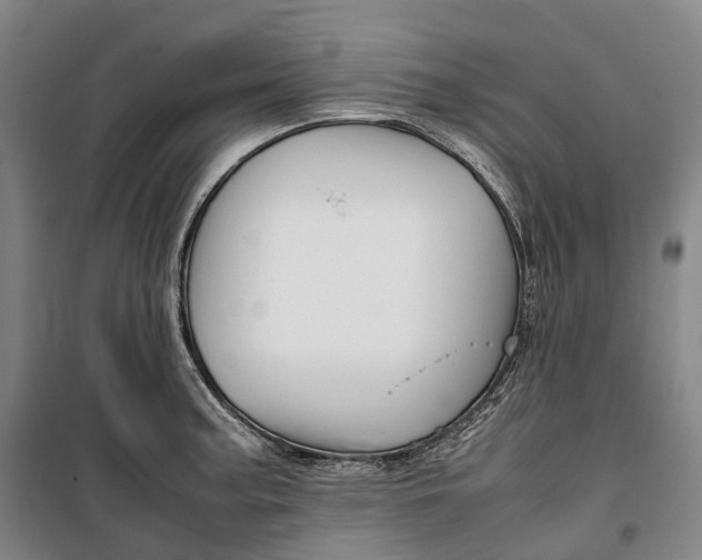 X0000099571187200806061555