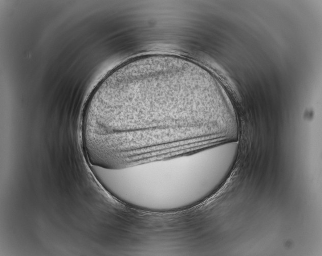 X0000099571188200806061555
