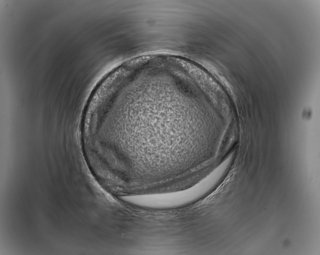 X0000099571189200806061555