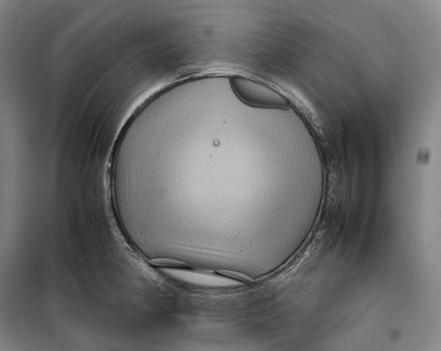 X0000099571190200806061555