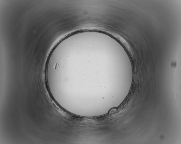 X0000099571191200806061555
