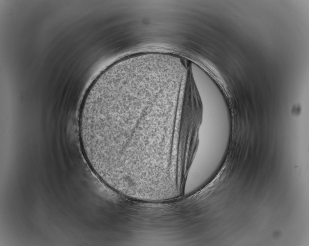 X0000099571192200806061555