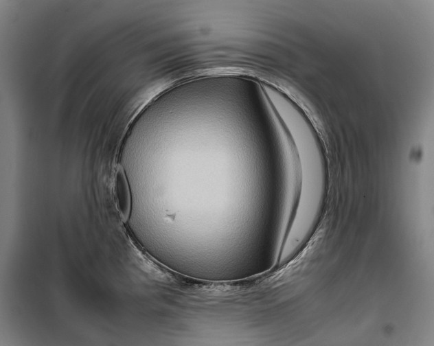 X0000099571193200806061555
