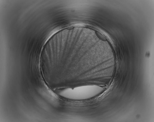 X0000099571194200806061555