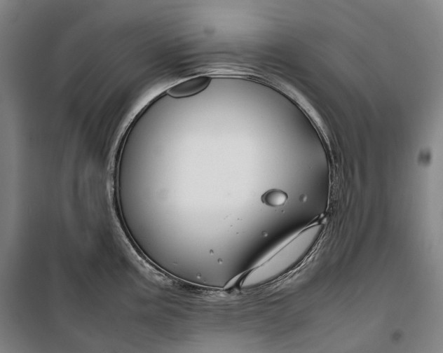 X0000099571195200806061555