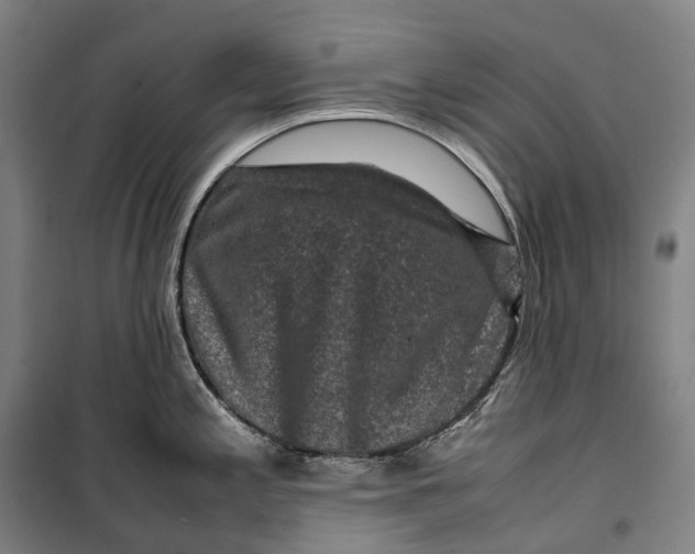 X0000099571197200806061555