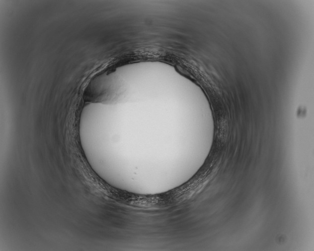 X0000099571201200806061554