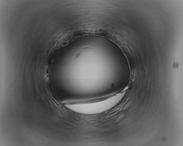 X0000099571202200806061554