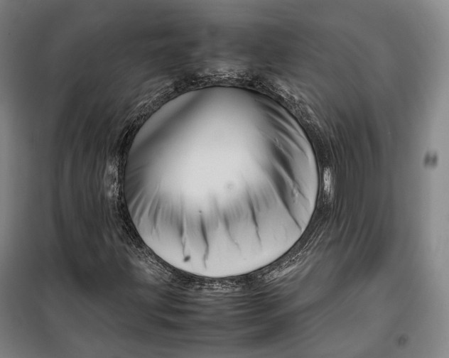 X0000099571203200806061554