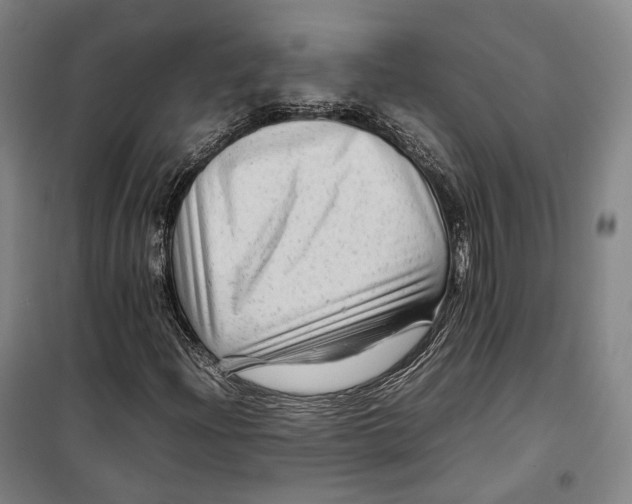 X0000099571204200806061555