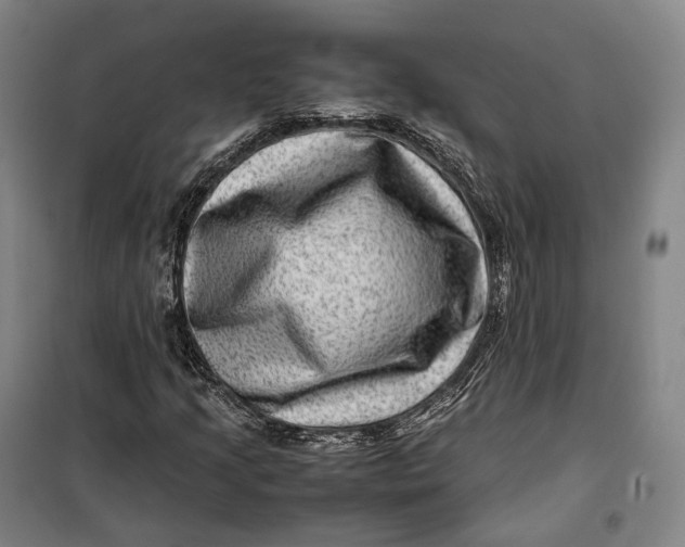X0000099571205200806061555