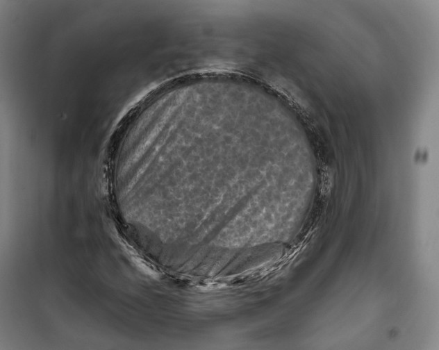 X0000099571208200806061555