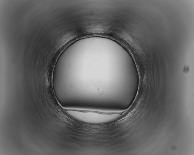 X0000099571209200806061555