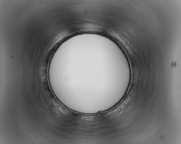 X0000099571211200806061555