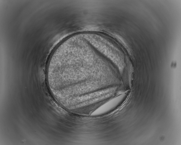 X0000099571212200806061555