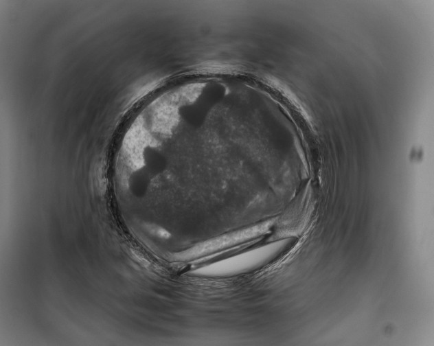 X0000099571213200806061555