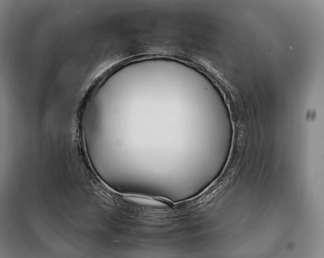 X0000099571215200806061555
