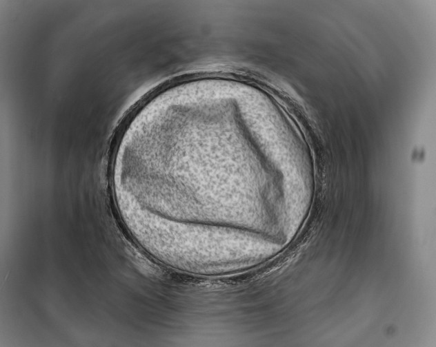 X0000099571216200806061555
