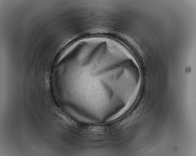 X0000099571217200806061555