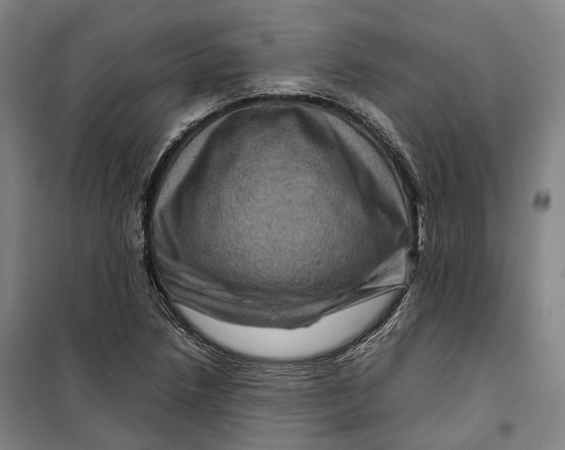 X0000099571218200806061555