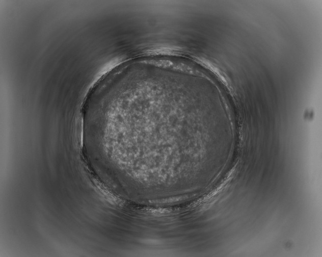 X0000099571219200806061555