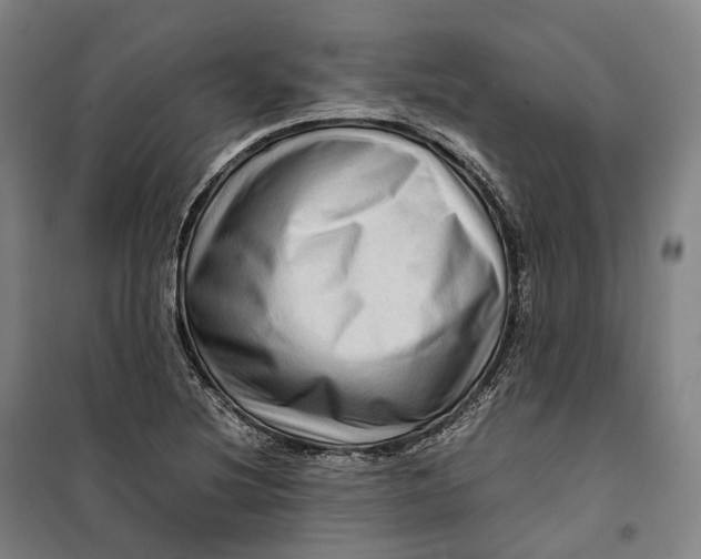 X0000099571220200806061555