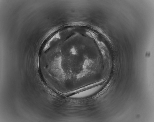 X0000099571221200806061555