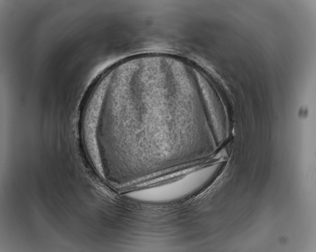 X0000099571222200806061555