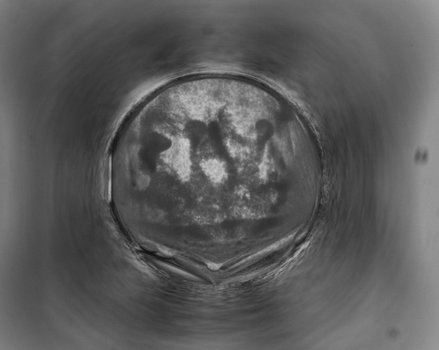 X0000099571223200806061555
