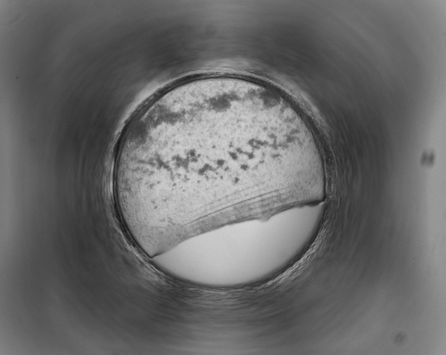 X0000099571224200806061555