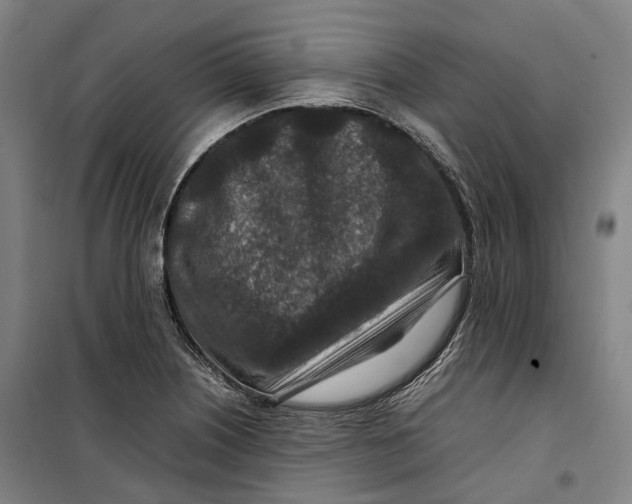 X0000099571226200806061555