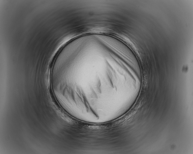 X0000099571227200806061555