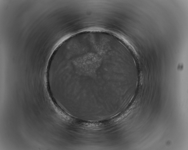 X0000099571229200806061555