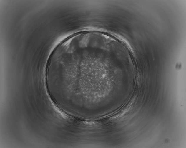X0000099571231200806061555