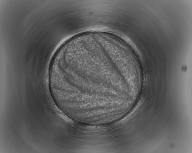 X0000099571232200806061555
