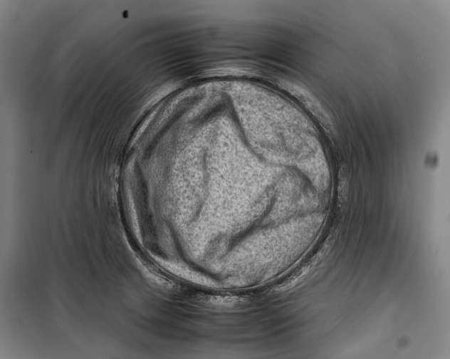 X0000099571233200806061555