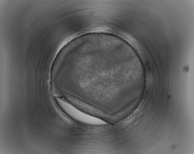 X0000099571234200806061555