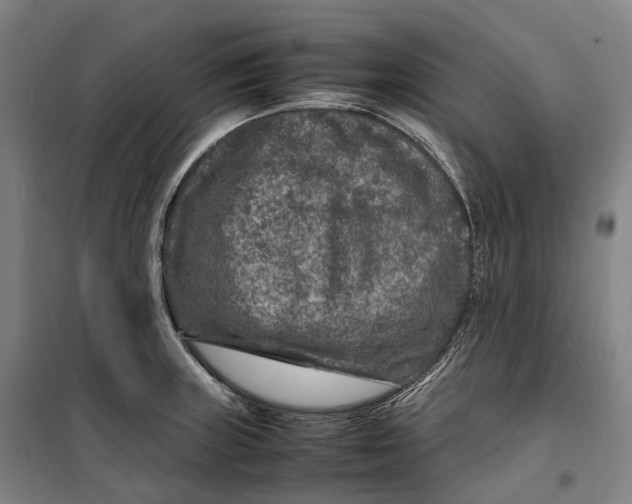 X0000099571235200806061555