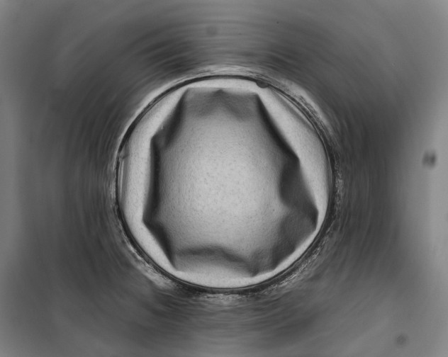 X0000099571236200806061555