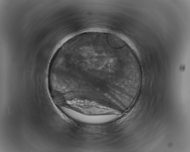 X0000099571237200806061555