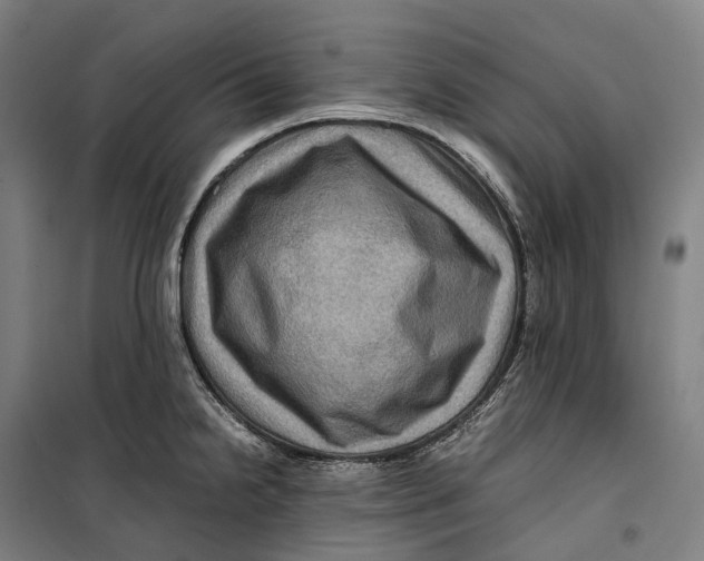 X0000099571238200806061555