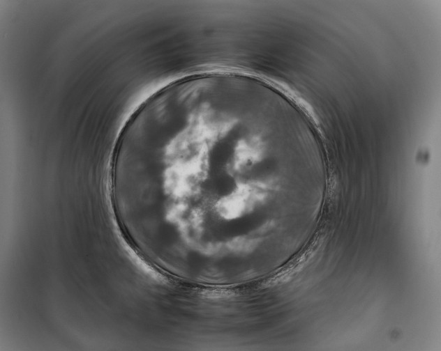 X0000099571239200806061555