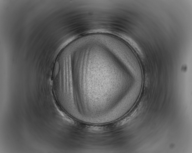 X0000099571241200806061555