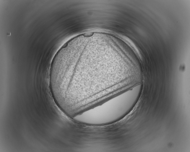 X0000099571244200806061555